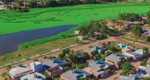 follamiga Resistencia