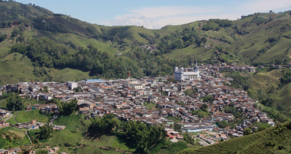 follamiga Caldas