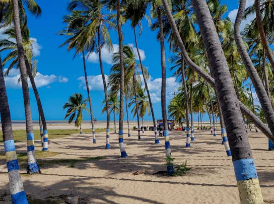 follamiga Riohacha