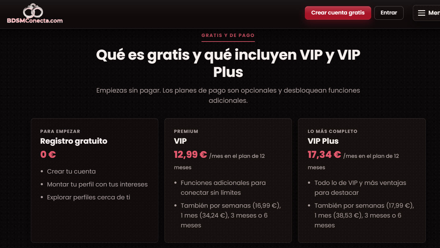 BDSMConecta precios